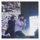 Foals 1
