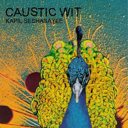 Caustic Wit artwork