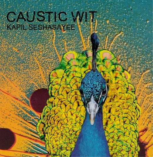 Caustic Wit artwork