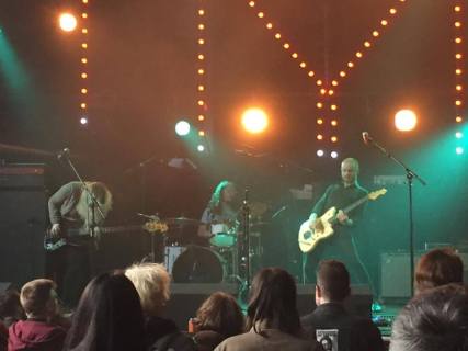 Elevant taking WRONG Fest by storm